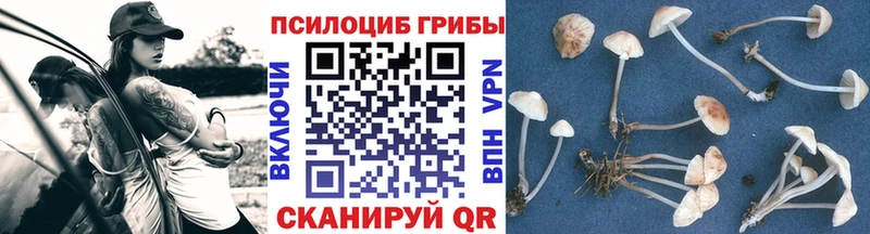 Галлюциногенные грибы мухоморы  Купить закладки  Североуральск 