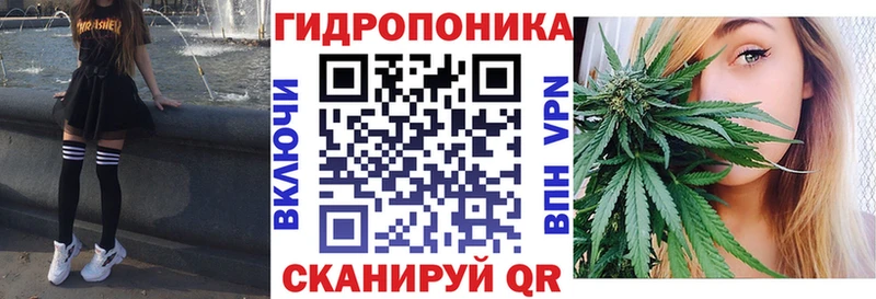 Купить закладки Североуральск Бошки марихуана Amnesia